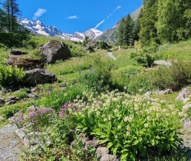Giardino Botanico Alpino Paradisia, Italy